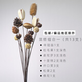 美学黑客客厅插花干花花束真花混搭落地摆设餐厅桌面松果装饰天然拍照道具 干果干花组合1