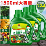 大海边 植物营养液通用型水培浓缩绿植养花卉花肥盆栽君子兰发财树绿萝 通用型500ml*3瓶【绿植花卉】