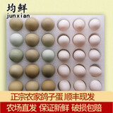 均鲜 新鲜鸽子蛋七彩山鸡蛋杂粮喂养农家养殖白鸽蛋孕妇宝宝土鸡蛋 60枚 1660g 左右30鲜鸽蛋+30山鸡蛋