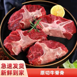 馋家人新鲜多肉牛脊骨国产原切牛排骨农家散养牛蝎子牛脖骨牛肉批发 新鲜牛脊骨2斤