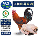 听蔬有机上树鸡 松林 有机农场生态散养土笨鸡肉无抗无激素跑地走地鸡 有机跑山公鸡（3.3斤左右） 1只