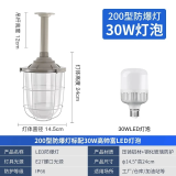 振牛国标led防爆灯工厂房车间照明灯灯罩仓库灯隔爆型灯专用加油站灯 200型防爆灯罩+30W超亮灯泡 可提供证书