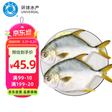 环球水产 南海金鲳鱼700g 2条 BAP认证深海鱼 冷冻 生鲜鱼类海鲜 家庭聚餐