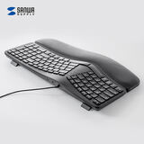 SANWA SUPPLYERG5 101键有线键盘 人体工学薄膜键盘 3口USB接口 软垫腕托 附Type-C转换线