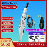 罗兰（Roland）罗兰AE20电吹管AE-30旗舰款吹管电子萨克斯管乐AE10升级款 AE20白色+吹嘴+耳机礼包