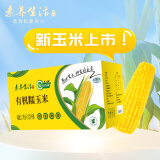 素养生活 有机糯玉米4.16斤(260g*8穗) 东北黄糯玉米软糯鲜食玉米棒