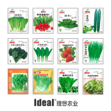 IDEAL理想农业 香菜种子阳台盆栽家庭易种蔬菜种籽葱黄瓜生菜菠菜种子