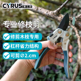 赛乐斯（Cyrus）修枝剪果枝剪弯嘴园林剪树枝钳家用修枝剪刀杠杆省力园艺工具