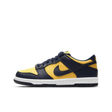 NIKE耐克DUNK LOW(GS)儿童运动鞋女鞋复古板鞋CW1590-700 40