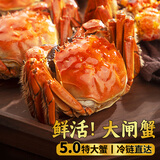 【活蟹】湖塘煙雨大闸蟹鲜活螃蟹生鲜礼盒河湖海鲜公4.7-5.0母3.7-4.0两4对8只源头直发