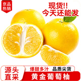 沙窝曙光葡萄柚子爆汁纯甜黄心西柚新鲜水果生鲜国庆 黄金葡萄柚净重8.5斤