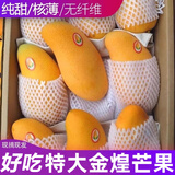 粤迎金煌芒芒果当季新鲜现摘大芒果青色甜心芒新海南鲜水果新鲜水果 5斤精选装【单果200g+】净4.5斤 普箱装【自吃推荐】