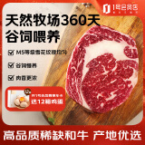 1号会员店 澳洲M5和牛眼肉原切牛排 谷饲360天 300g 低脂健身 烧烤烤肉食材