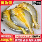 出海人黄鱼鲞新鲜冷冻宁德霞浦黄花鱼咸香大黄鱼三去小黄鱼海鲜海鱼商用 250-299g/只 5条【家庭实惠装】