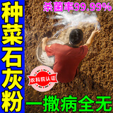 FRD生石灰粉种菜专用一撒防治消毒杀菌改良土壤驱虫除湿干燥剂菜地肥 二十四袋装【一撒地里种啥结啥】