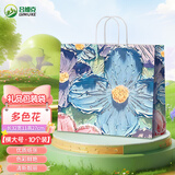 吕姆克牛皮纸袋礼品袋手提袋子送女朋友家人老师 多色花包装袋10个4960