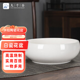 九千谷水仙花盆陶瓷小号睡莲碗莲铜钱草水培水养花卉绿植花盆无孔4381