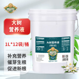 德沃多肥料 大树营养液1L*12袋/桶树木移栽补充剂肥料吊针生根液活促发芽