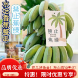 鲜青录广西小米蕉禁止蕉绿办公室水培香蕉拒绝焦虑食用观赏带杆工位绿植 禁止蕉绿 2斤 -3斤（1把）