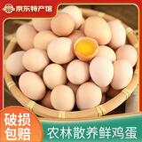 柴小旦农家散养五谷喂养新鲜土鸡蛋单枚 10枚装