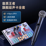 金运 声卡直播设备全套外置手机电脑录音户外主播唱歌话筒全套 唱跳户外专用-【声卡全套+无线麦+无线监听耳机】
