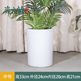 大号特大号高筒陶瓷花盆发财树天堂鸟大口径30以上绿植大花盆 白色直筒低腰（中号）