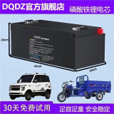 DQDZ德国品牌 三轮车锂电池60v四轮车锂电池电池100ah宁德时代72V电瓶 72v70Ah（磷酸铁锂电池）配10A充