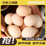 新鲜土鸡蛋农家散养正宗草鸡蛋笨柴鸡蛋 30枚1200g