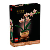 乐高（LEGO)积木ICONS系列10343典雅兰儿童成人拼插积木玩具礼物