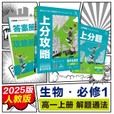 2025版高中必刷题 上分攻略 高一上 生物 必修一 人教版 教材同步练习册 理想树图书