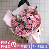 植伴康乃馨百合鲜花生日祝福探望病人母亲节鲜花速递送妈妈全国同城店 V款-19朵粉康乃馨