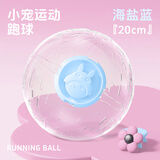 宠尚天 仓鼠跑轮球龙猫大号转轮带支架松鼠仓鼠金丝熊用品玩具 水晶跑球 蓝20cm