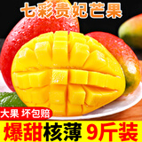 甜果源 海南贵妃芒果 红金龙树上现摘熟青皮芒果应季热带新鲜水果送礼品 净重9斤装 单果200g以上【精选5A果超实惠】