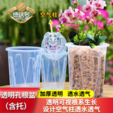 德沃多肥料控根透明花盆10口径园艺绿植盆栽种植盆花卉种菜盆养花多肉塑料盆