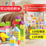 Hape100粒儿童木制积木大颗粒字母数字启智拼装婴儿儿童生日礼物 HAPE【桶装版】100粒积木