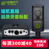 莱维特（LEWITT） LCT 240PRO电容麦克风声卡套装手机电脑主播直播k歌录音话筒设备全套 240PRO+艾肯MICU套装