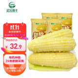 金沃瑞丰有机白糯玉米棒260g*8支＞5斤  新鲜甜粘黏真空 杂粮粗粮早餐