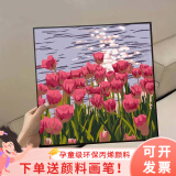 diy数字油画郁金香儿童手工填色丙烯手绘装饰画小尺寸2025新款 WT849 20*20cm/实木内框 颜料 画笔