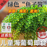 海葡萄儿童即食新鲜海藻菜火锅鱼子酱 500g袋海葡萄（送5包芥末酱）