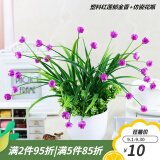 礼赫家饰蝴蝶兰仿真花假花摆设客厅餐桌花摆花绿植小盆栽室内外摆件装饰品 塑料红莲郁金香+仿瓷花瓶