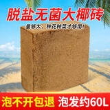 原起点进口椰砖种菜种花椰土壤无菌低盐营养土大块乌龟冬眠椰糠砖种植土 超大块椰砖3.5kg