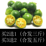蔬果哆 新鲜水果 海南青金桔 小金桔 奶茶用金桔 500g 一斤