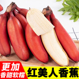 千果娘娘自然熟红美人香蕉新鲜香甜软糯红皮香蕉福建广西土楼孕妇红色水果 净重3斤【尝鲜装】