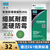 雷帝CG1彩色防霉水泥基填缝剂室外墙地砖马赛克白水泥黑色瓷砖勾美缝 象牙白