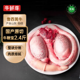 牛鲜尊国产黄牛原切谷饲牛鞭宝2.4斤 生鲜牛肉