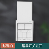 GELAN浴霸开关五开 上滑盖浴室卫生间防水开关面板16A双电机风暖五合一 白色
