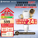 滨特尔（pentair）前置过滤器大通量家用全屋自来水管道40μm过滤器9吨/H大流量水驱涡轮+反冲洗刮洗净水器 【升级9T/H】S160前置过滤器