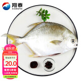 翔泰 冷冻二去金鲳鱼340g1条  生鲜鱼类 火锅食材 海鲜水产