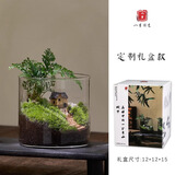 八芽趣味鲜活苔藓微型景观创意室内桌面生态绿植盆栽盆景懒人好养植物 山野人家A款-礼盒定制款 带玻璃杯