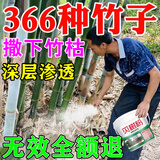 除竹子的药烂根粉环竹根连根烂灭竹王户外装备竹子专用药 发三瓶【1500ml三斤装】两瓶价格